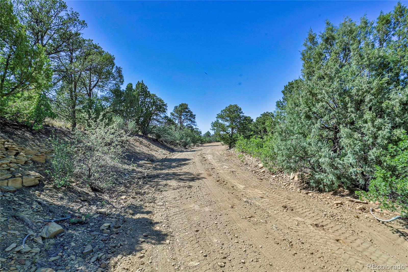 Fishers Peak Ranch Trinidad, CO 81082 - Photo 19 of 34