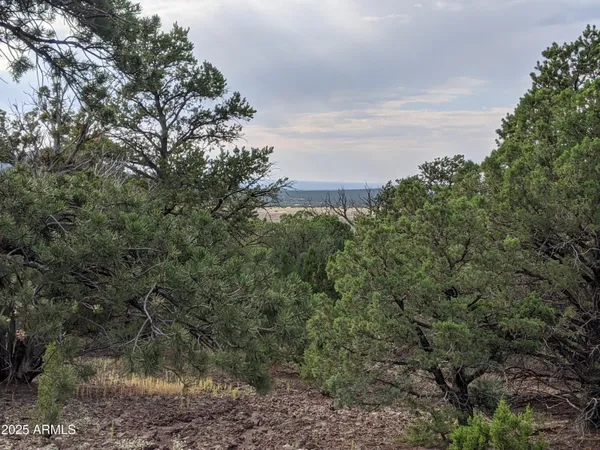 $65,000 | Lot 76 Dolly Drive, Unit 76, Vernon, AZ 85940