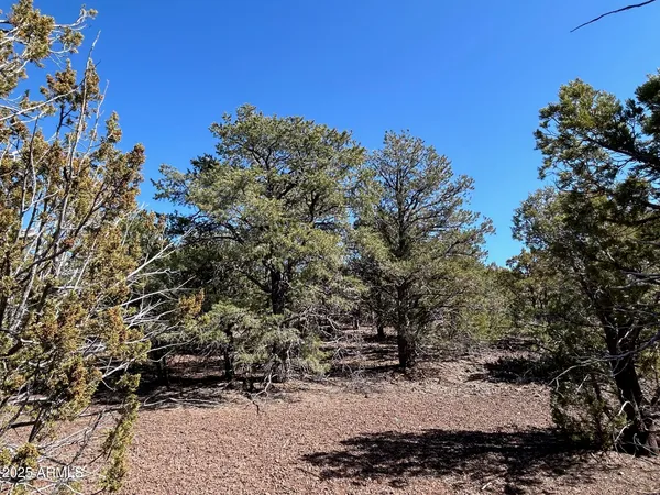 $65,000 | Lot 76 Dolly Drive, Unit 76, Vernon, AZ 85940