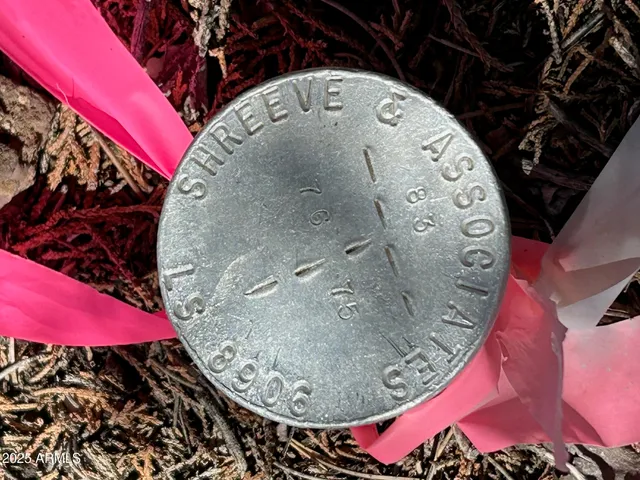 an aerial view of a houses with a yard