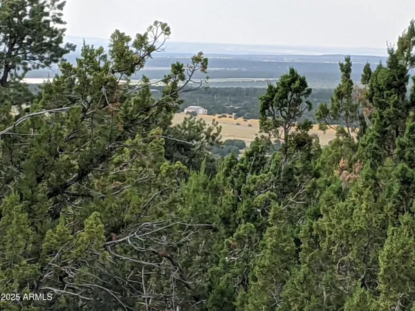 $65,000 | Lot 76 Dolly Drive, Unit 76, Vernon, AZ 85940