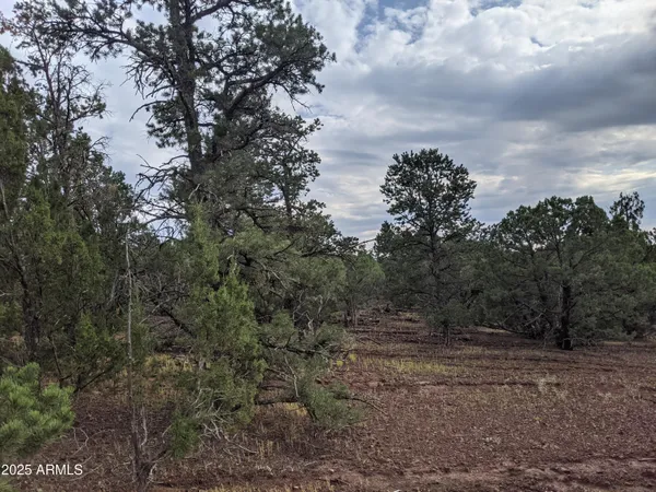 $65,000 | Lot 76 Dolly Drive, Unit 76, Vernon, AZ 85940