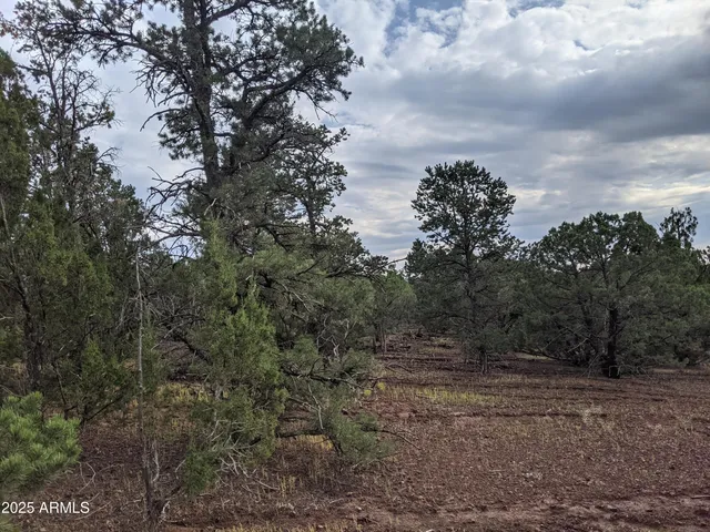 a backyard of a house with lots of trees