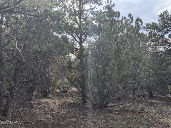 $65,000 | Lot 76 Dolly Drive, Unit 76, Vernon, AZ 85940