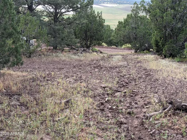 $65,000 | Lot 76 Dolly Drive, Unit 76, Vernon, AZ 85940