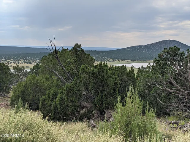 $65,000 | Lot 76 Dolly Drive, Unit 76, Vernon, AZ 85940