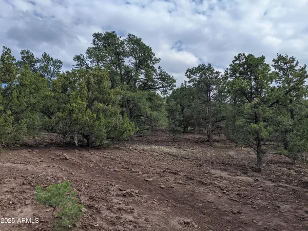 $65,000 | Lot 76 Dolly Drive, Unit 76, Vernon, AZ 85940