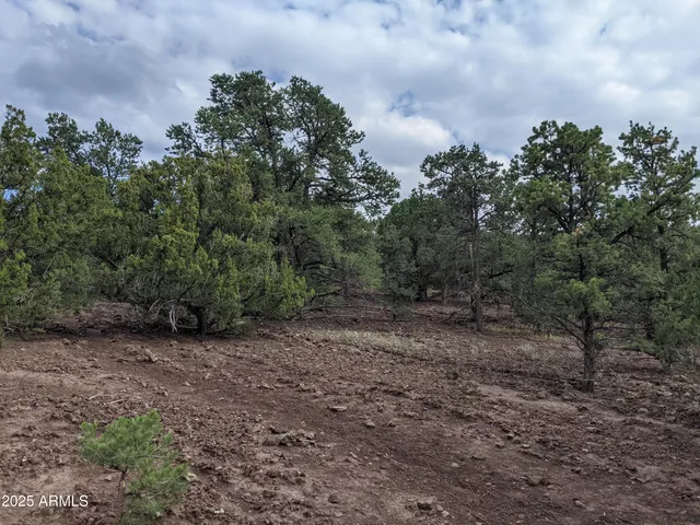 $65,000 | Lot 76 Dolly Drive, Unit 76, Vernon, AZ 85940