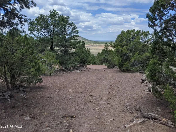 $65,000 | Lot 76 Dolly Drive, Unit 76, Vernon, AZ 85940