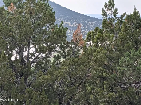 $65,000 | Lot 76 Dolly Drive, Unit 76, Vernon, AZ 85940