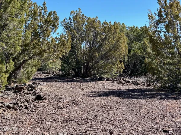 $65,000 | Lot 76 Dolly Drive, Unit 76, Vernon, AZ 85940