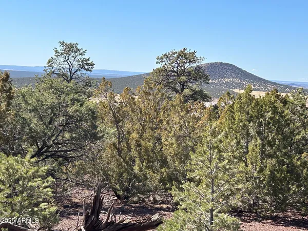 $65,000 | Lot 76 Dolly Drive, Unit 76, Vernon, AZ 85940