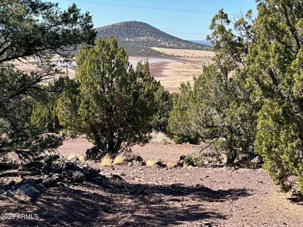 $65,000 | Lot 76 Dolly Drive, Unit 76, Vernon, AZ 85940