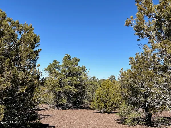 $65,000 | Lot 76 Dolly Drive, Unit 76, Vernon, AZ 85940