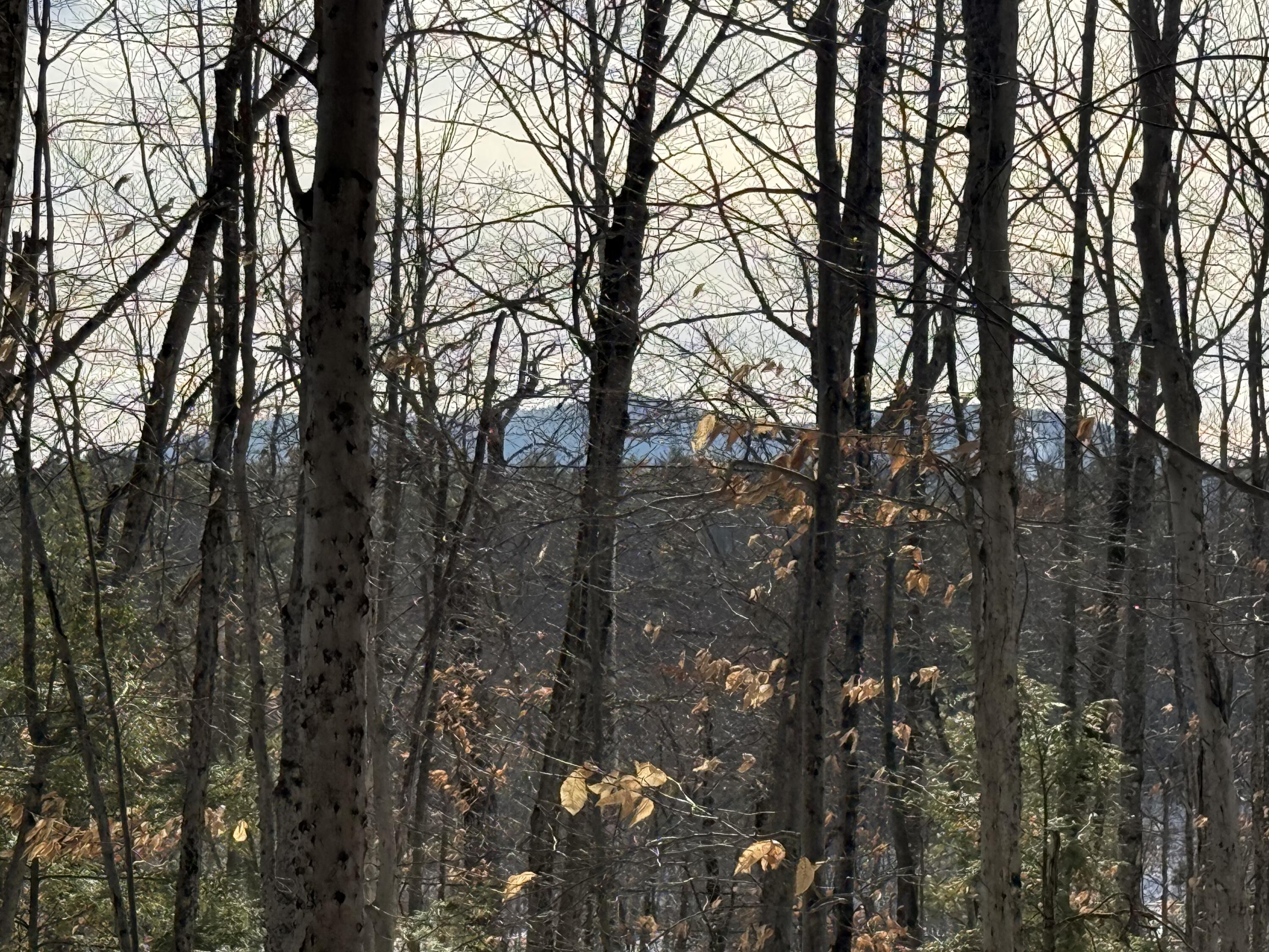 Lot 15-3b Sweden Road Bridgton, ME 04009 - Photo 2 of 10 Mountain 2