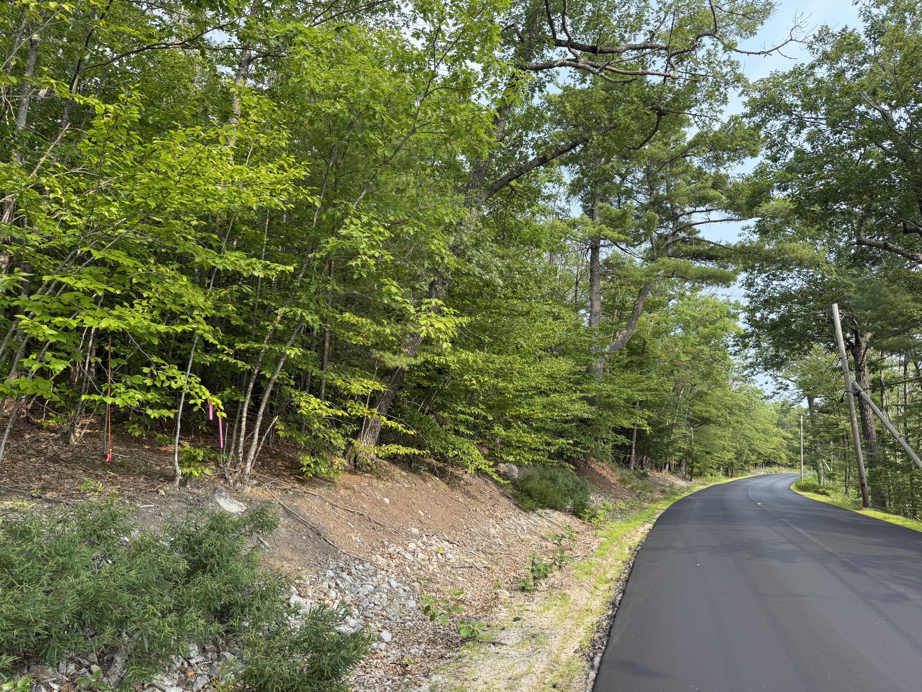 Lot 15-3b Sweden Road Bridgton, ME 04009 - Photo 3 of 10 Photo 8