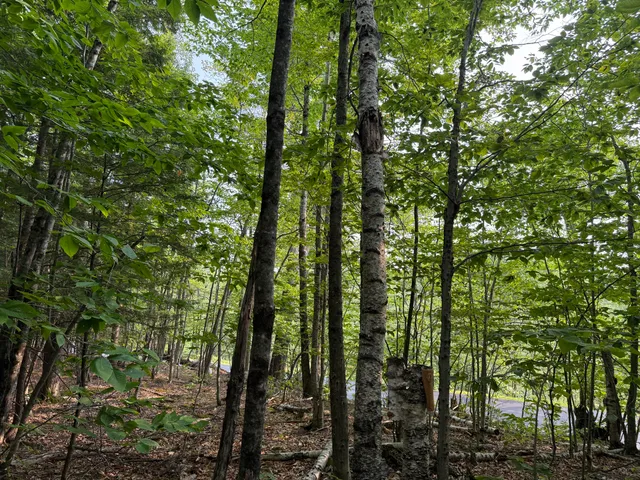 $85,000 | Lot 15-3b Sweden Road, Bridgton, ME 04009