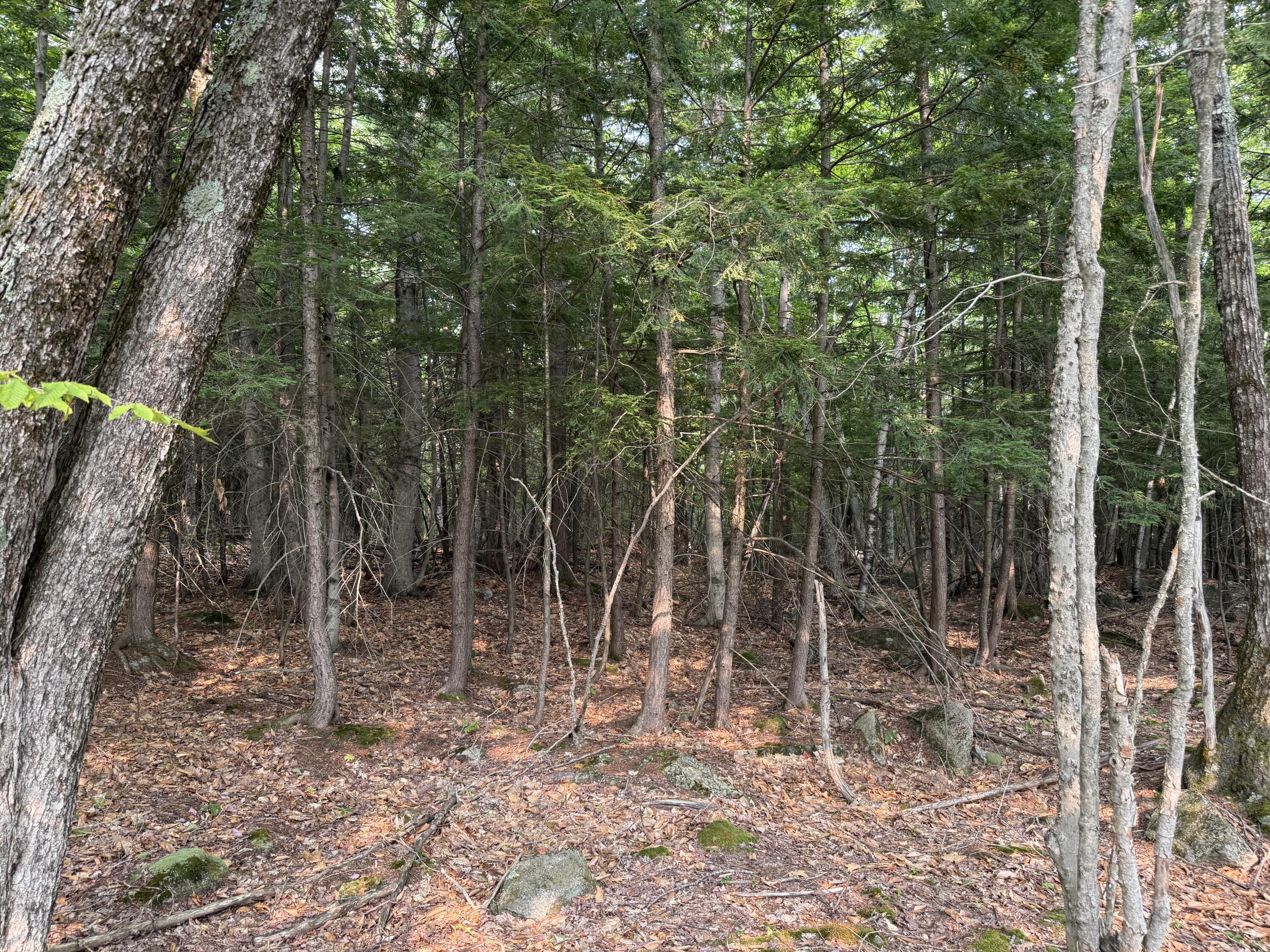 Lot 15-3b Sweden Road Bridgton, ME 04009 - Photo 10 of 10 Photo 2