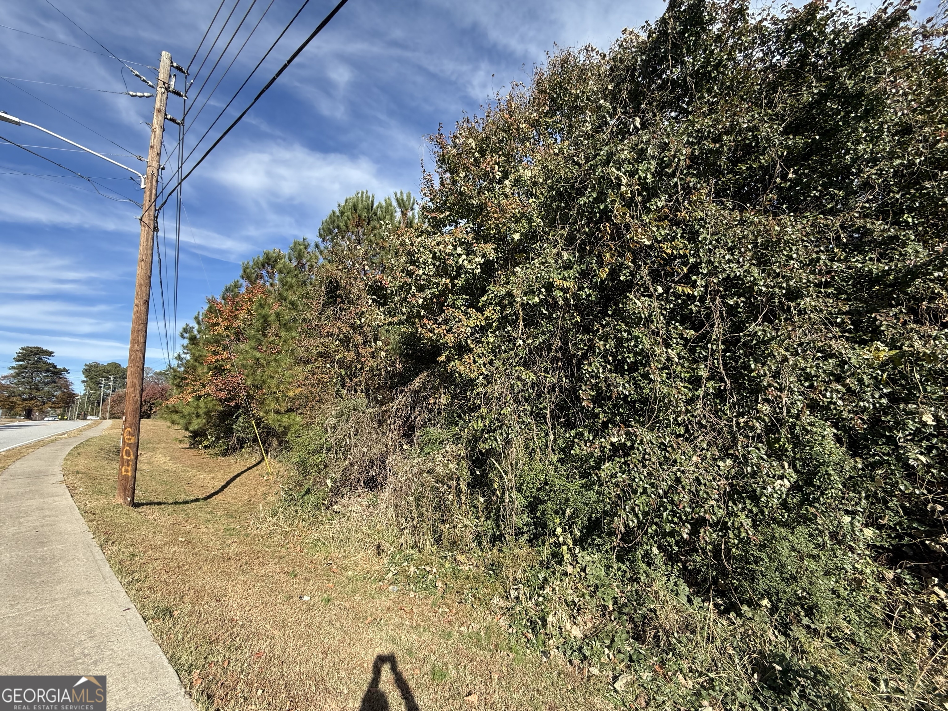 8638 Webb Road Riverdale, GA 30274 - Photo 5 of 8 a view of a yard in a corridor