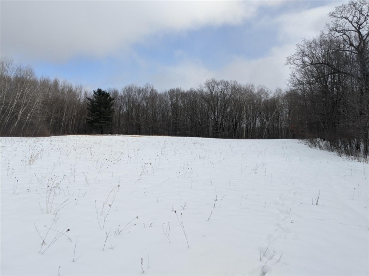V/l North Larson Road Custer, MI 49405 - Photo 4 of 10