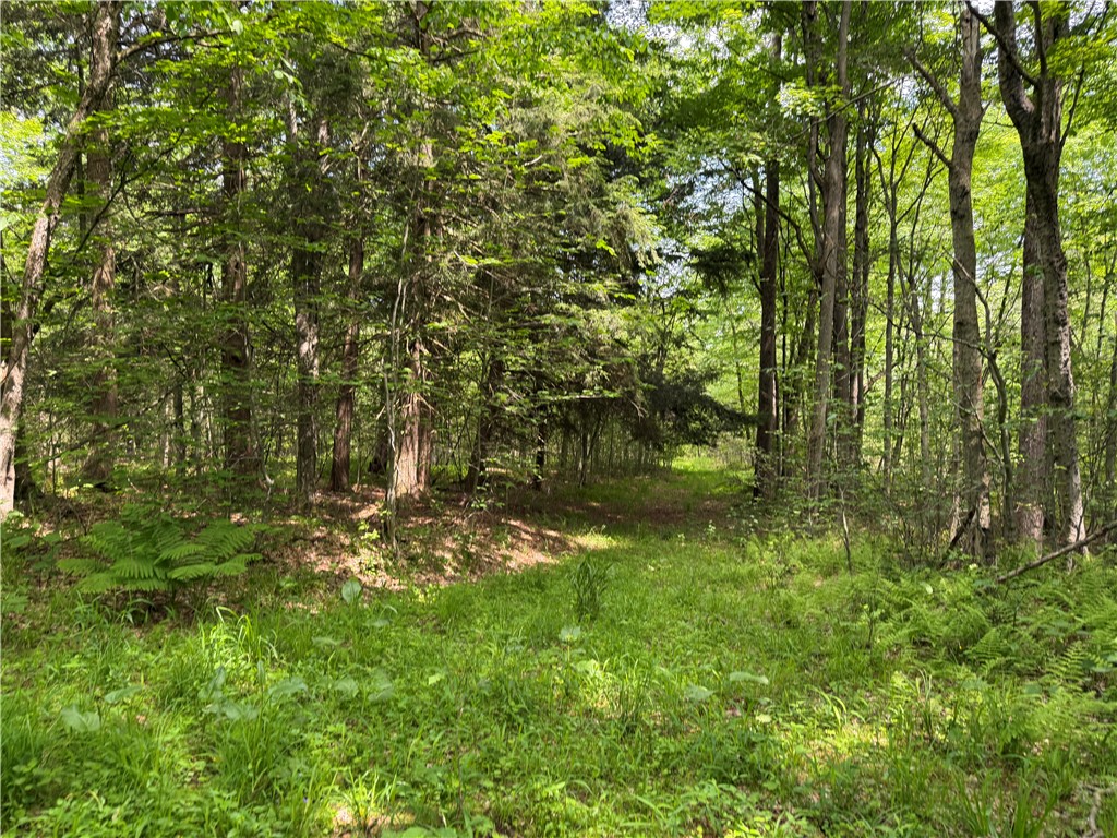Vl 106 Road Alma, NY 14708 - Photo 9 of 36 Gallery Image 9