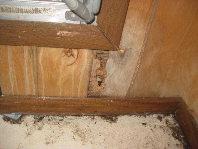 3157 Southeast Pruitt Road Port St. Lucie, FL 34952 - Photo 14 of 21 Additional Photo