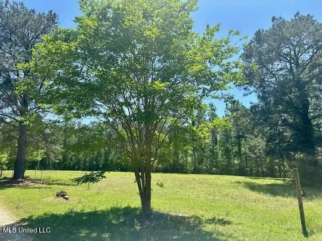 $219,000 | 65 Quitman Perry Road, Carriere, MS 39426