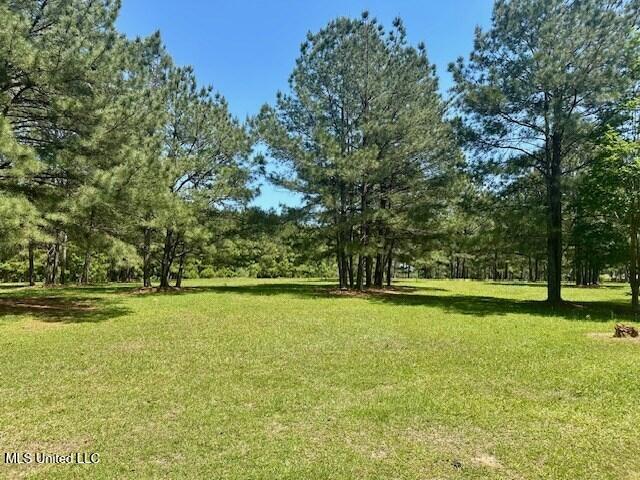 65 Quitman Perry Road Carriere, MS 39426 - Photo 16 of 25 183232_28