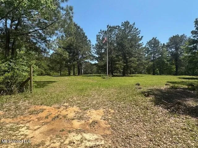 $219,000 | 65 Quitman Perry Road, Carriere, MS 39426