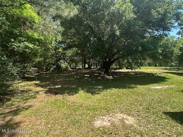 65 Quitman Perry Road Carriere, MS 39426 - Photo 19 of 25 183232_10