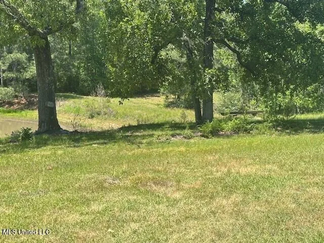 $219,000 | 65 Quitman Perry Road, Carriere, MS 39426