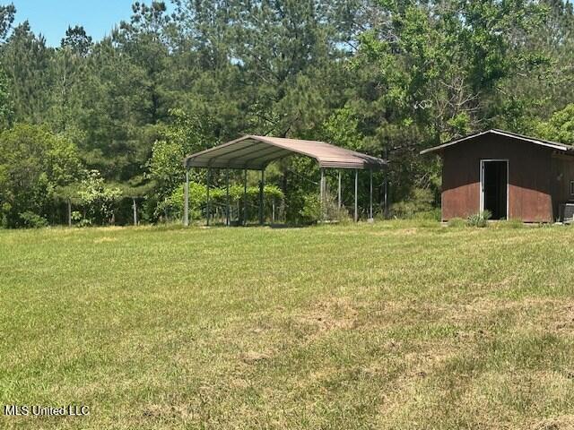 65 Quitman Perry Road Carriere, MS 39426 - Photo 23 of 25 183232_3