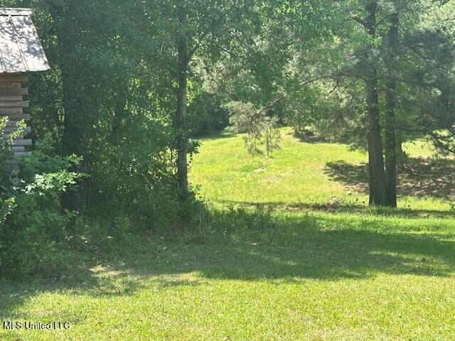 65 Quitman Perry Road Carriere, MS 39426 - Photo 24 of 25 183232_2
