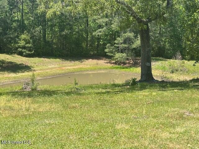 65 Quitman Perry Road Carriere, MS 39426 - Photo 25 of 25 183232_1