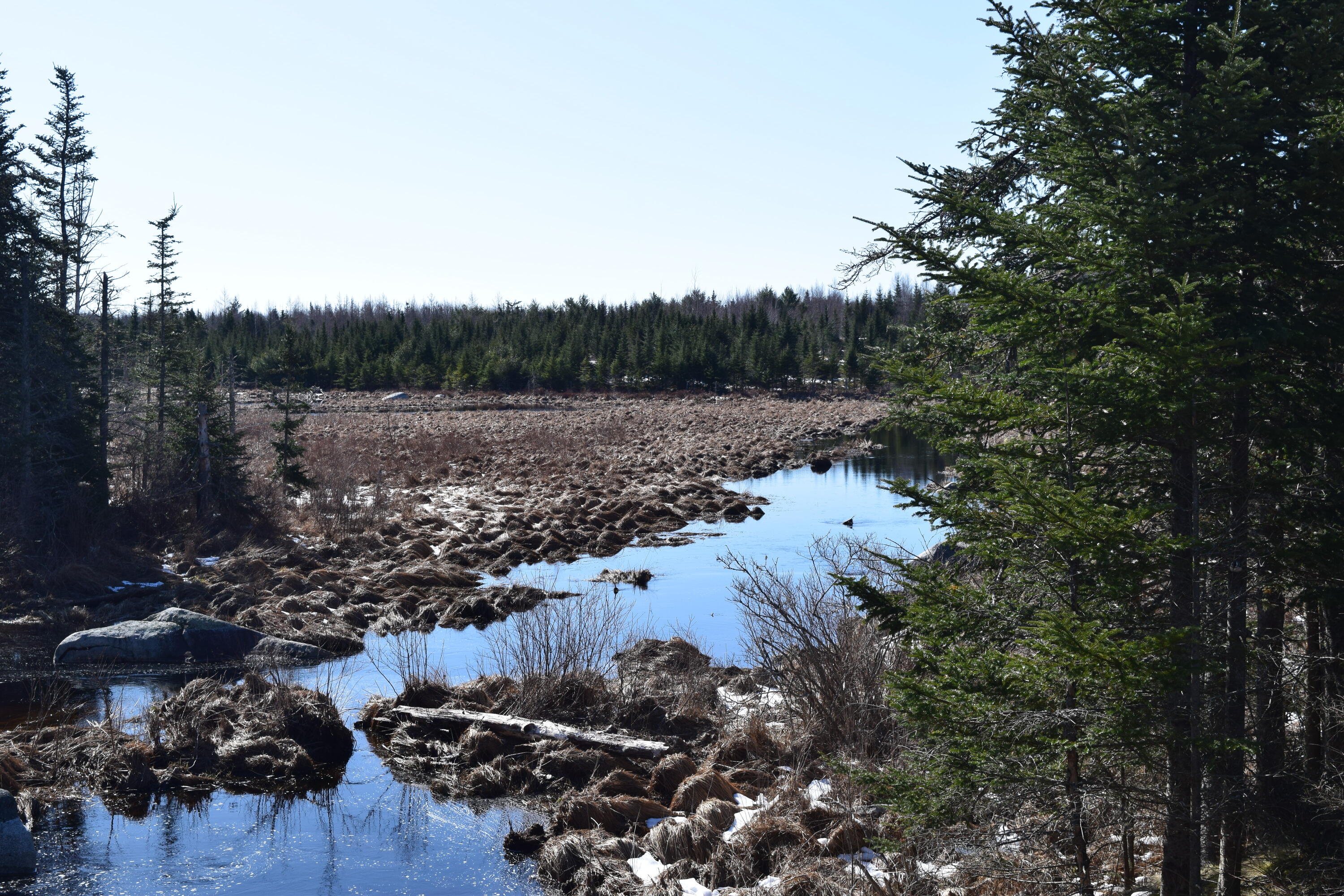 817 Ellsworth Road Blue Hill, ME 04614 - Photo 21 of 23 DSC_0116