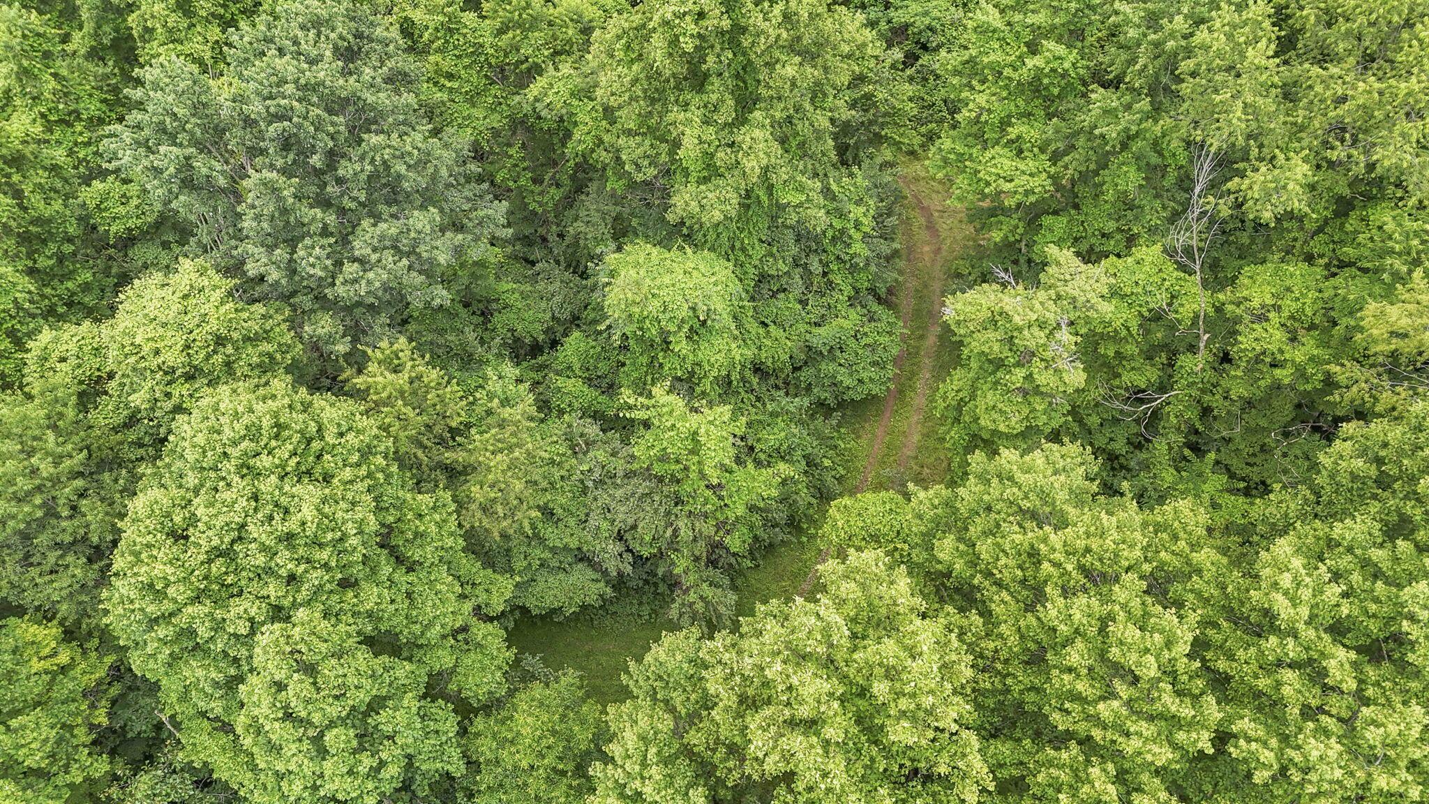 16749 Mush Run Road Athens, OH 45701 - Photo 32 of 37 51-web-or-mls-DJI_20260622132543_0754_D