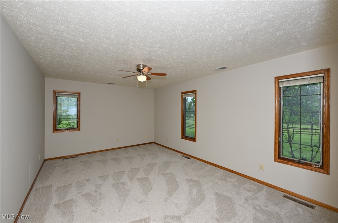 4010 State Road Medina, OH 44256 - Photo 25 of 50 Empty room with plenty of natural light, a ceiling fan, light colored carpet, and a textured ceiling