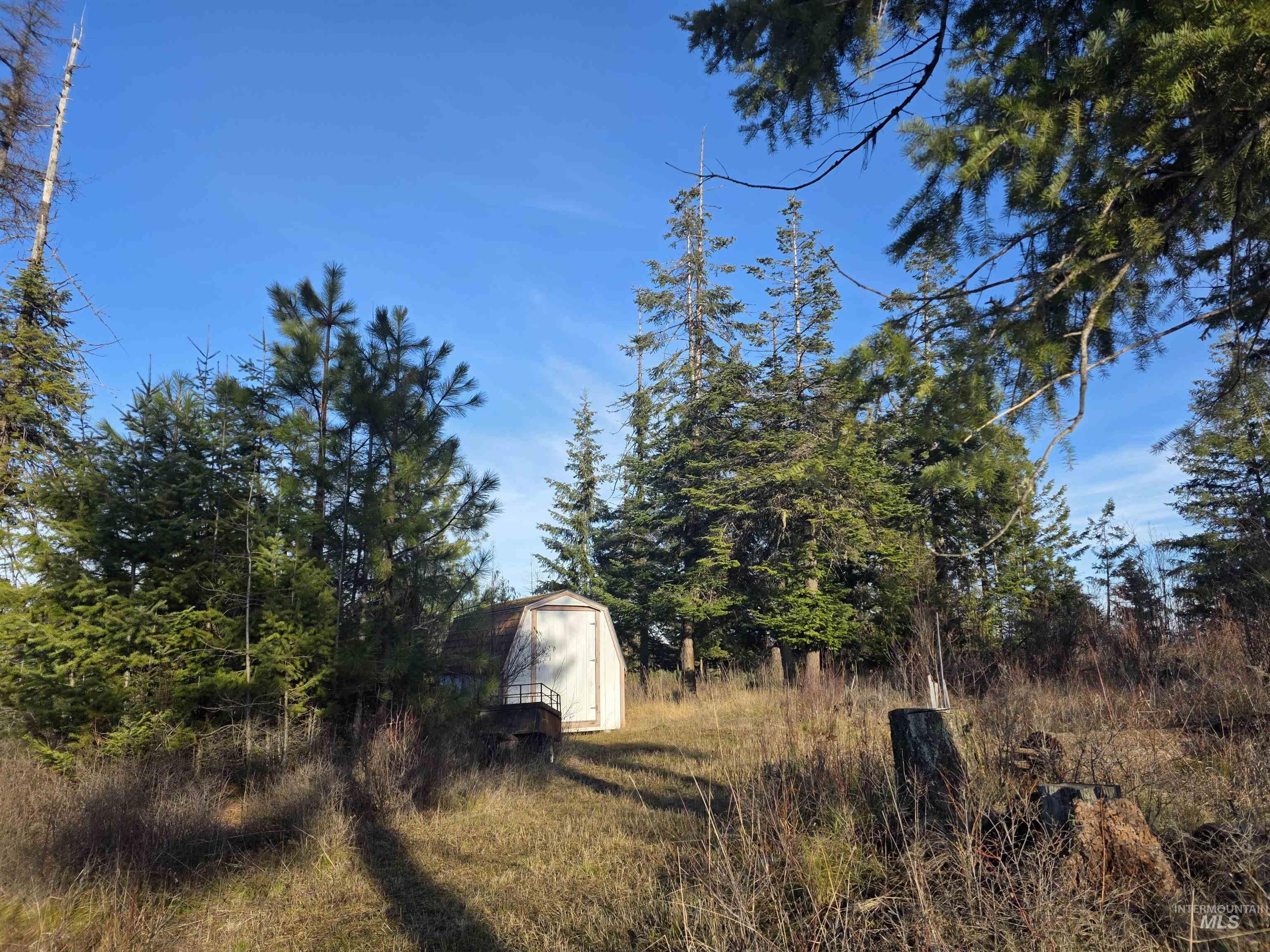 407 Memory Lane Orofino, ID 83544 - Photo 12 of 18 View of yard featuring a storage unit