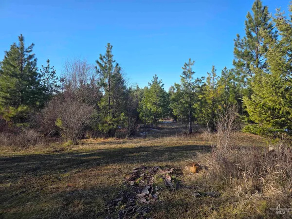 $228,000 | 407 Memory Lane, Orofino, ID 83544