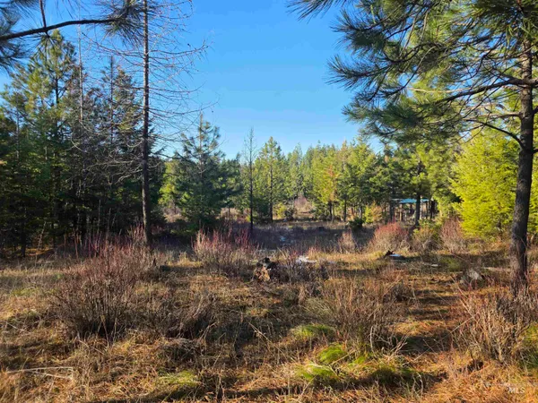 $228,000 | 407 Memory Lane, Orofino, ID 83544