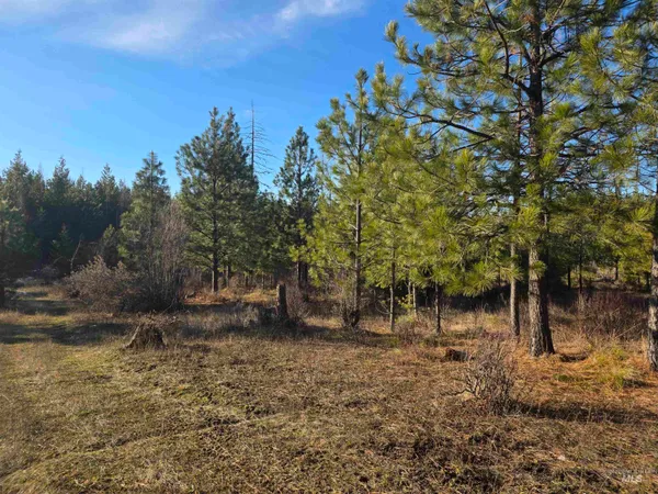 $228,000 | 407 Memory Lane, Orofino, ID 83544