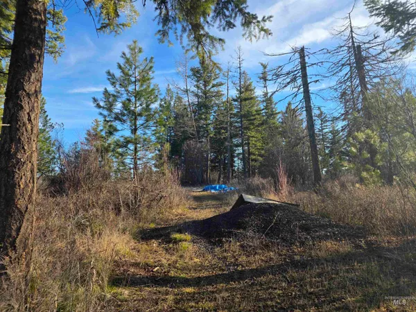 $228,000 | 407 Memory Lane, Orofino, ID 83544