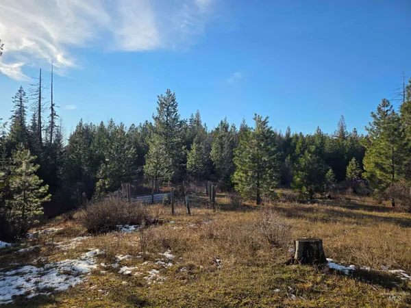 $228,000 | 407 Memory Lane, Orofino, ID 83544