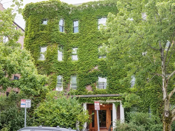 $3,900 | 315 Harvard Street, Unit 8, Cambridge, MA 02139