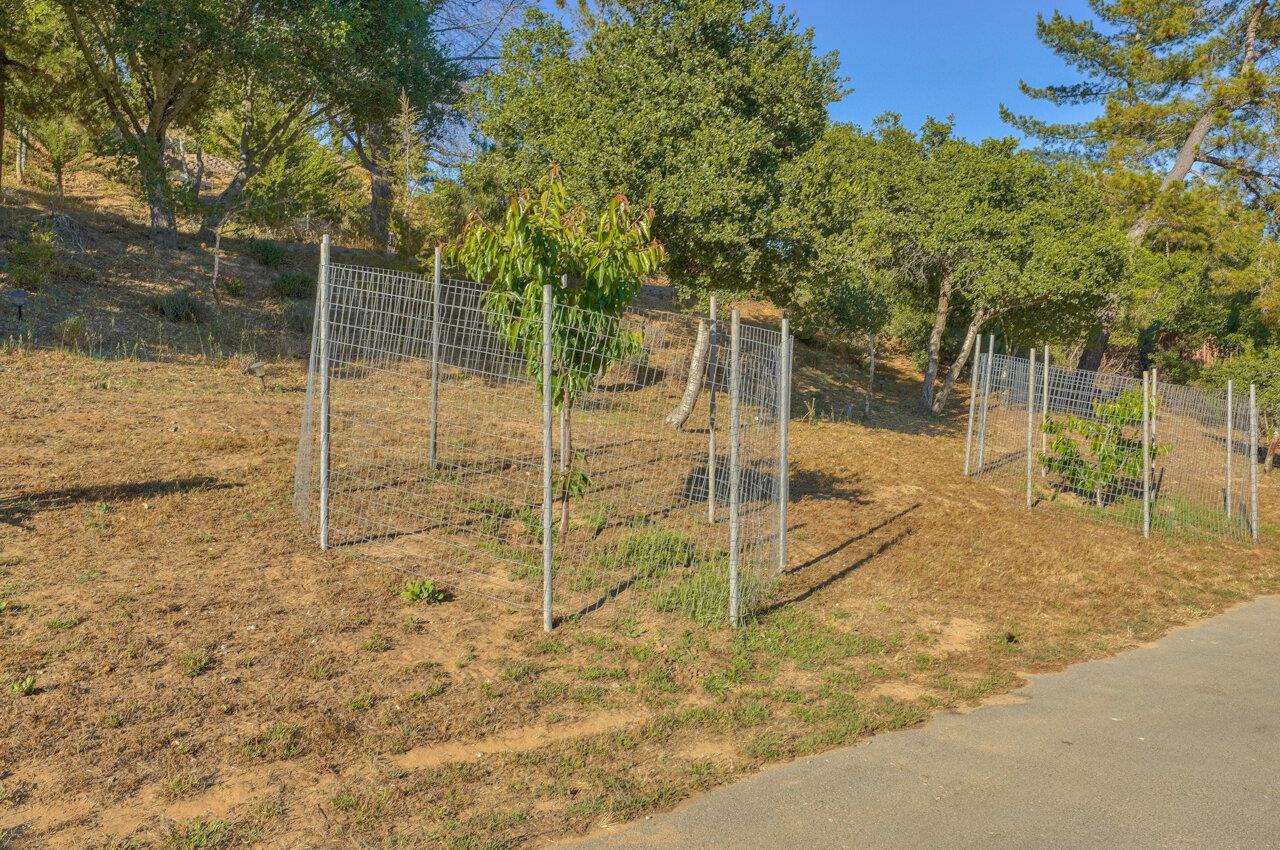 8227 Messick Road Salinas, CA 93907 - Photo 27 of 31 Gallery Image 27