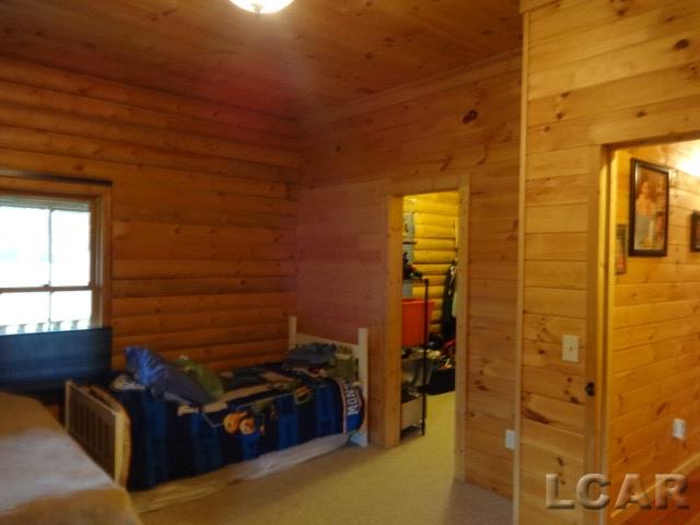 14685 Tracey Road Manchester, MI 48158 - Photo 20 of 62