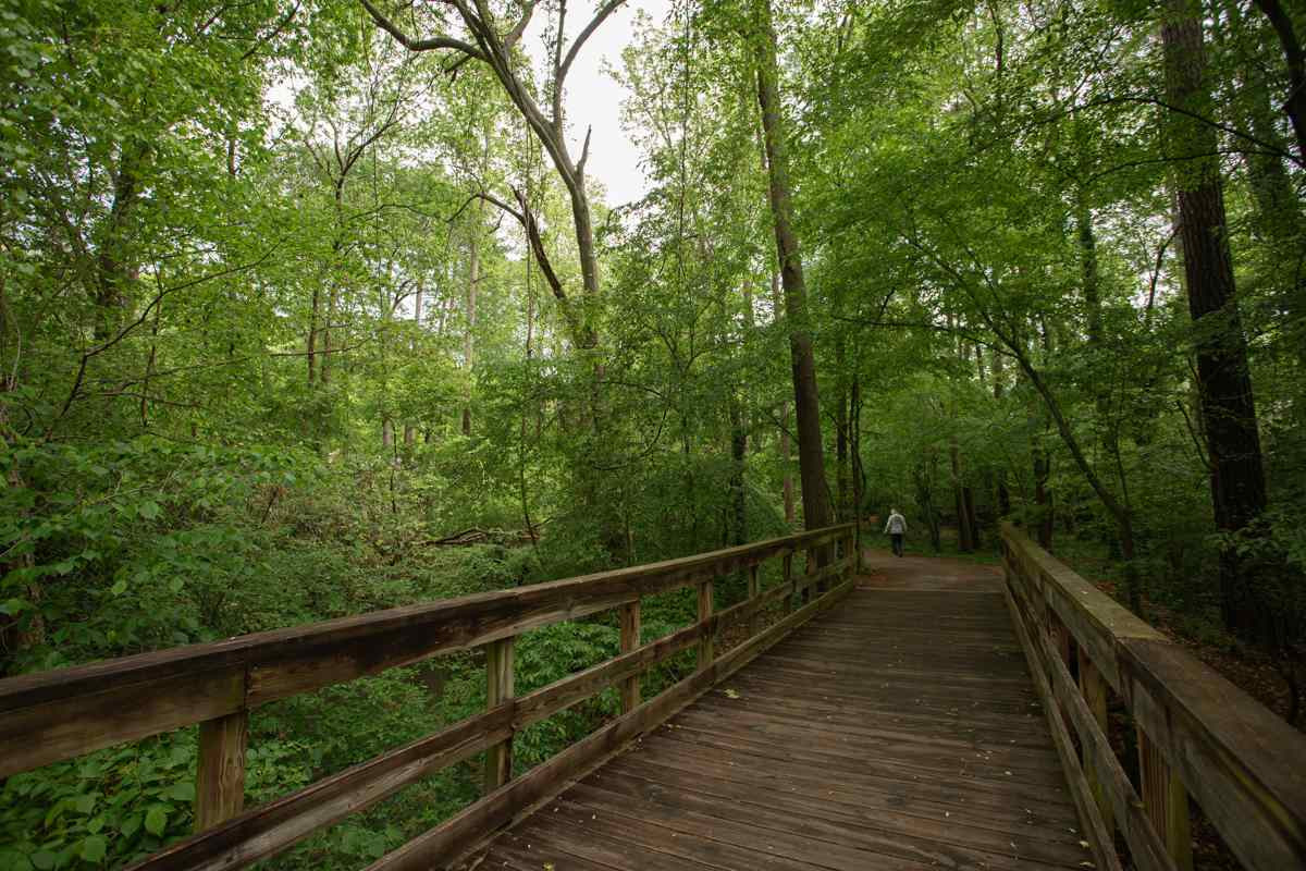 5752 Forest Lawn Court Raleigh, NC 27612 - Photo 25 of 27 Photo 28