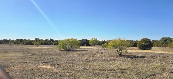 a view of dirt field with trees in background