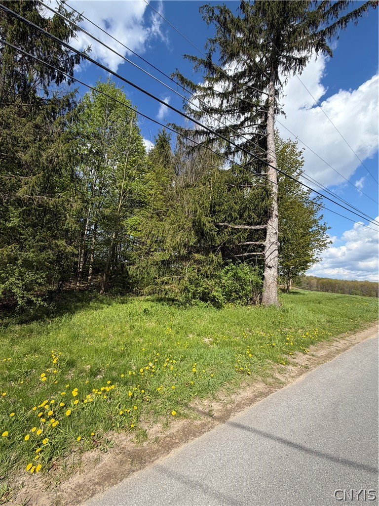 Emery Road Fulton, NY 13069 - Photo 5 of 9