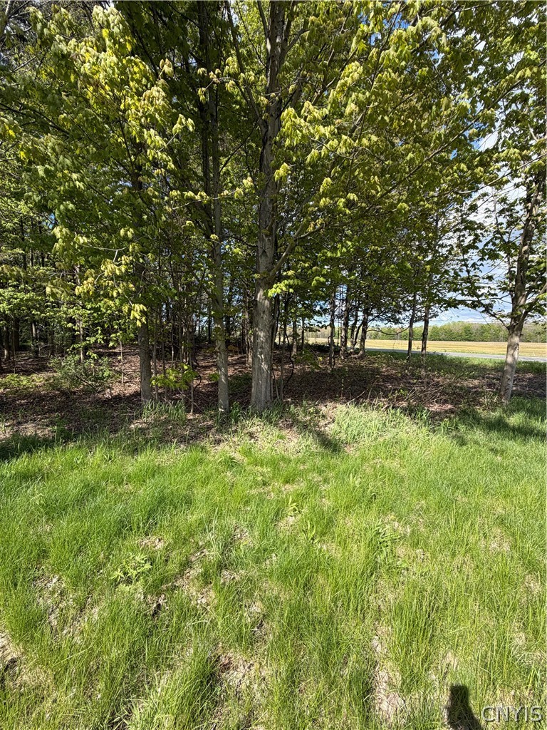 Emery Road Fulton, NY 13069 - Photo 7 of 9